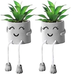 SEMSOIIO 2 Pcs Fake Plants In Cement Pot With Hanging Legs, Creative Artificial Faux Succulent For Home/Office Decor (Tongue & Smoking) -Organic Plant Shop 41e4olvnzIL. AC
