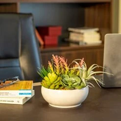 10 In 1- Fake Plants In Pot -Artificial Succulents Plant For Desk Decor -Small Faux Plants Indoor Modern Farmhouse Plants Artificial Decor -Potted Small Plants Decor For Bedroom Bathroom Office Shelf -Organic Plant Shop 41eDd3kdK9L