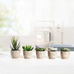 Jelofly Fake Plants Artificial Succulent Plants Assorted Decorative Faux Succulent Potted Fake Cactus Cacti Plants Gray Pots, Set Of 5 -Organic Plant Shop 41eZKUJozoL
