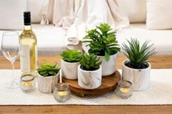 Kurrajong Farmhouse Artificial Succulent Plants In Pots | Mini Fake Plant For Shelves | Artificial Plants For Home Decor Indoor | Succulent Plants Artificial | Mini Plant Decor | Small Faux Plants -Organic Plant Shop 41fGiZalUWL