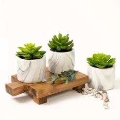 Kurrajong Farmhouse Artificial Succulent Plants In Pots | Mini Fake Plant For Shelves | Artificial Plants For Home Decor Indoor | Succulent Plants Artificial | Mini Plant Decor | Small Faux Plants -Organic Plant Shop 41fUBC5pOuL