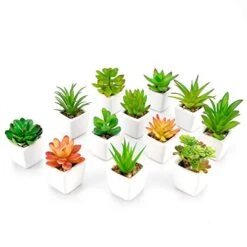 Faux Succulents In Pots Fake Succulents Small Artificial Succulents Potted For Home Office Desk Farmhouse Greenery Decor, 12 Pack