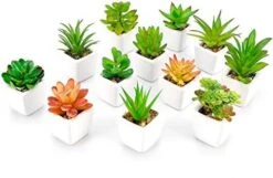 Faux Succulents In Pots Fake Succulents Small Artificial Succulents Potted For Home Office Desk Farmhouse Greenery Decor, 12 Pack -Organic Plant Shop 41fUTlHIw6L. AC