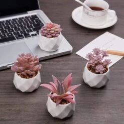VIVERIE Rose Pink Faux Succulents In White Ceramic Pot Set Of 4 - Plant Gifts, Cute Aesthetic Pink Room, Home Decor Accents, Centerpieces, Bathroom Decor, Mum Gifts, Cactus Decor, Succulents Wedding -Organic Plant Shop 41fZ68TNYcL