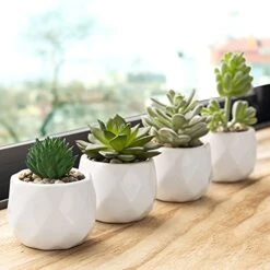 MyGift Set Of 4 Mini Assorted Artificial Succulent Fake Plants In Modern White Textured Ceramic Plant Pots -Organic Plant Shop 41h6mlF5eBS