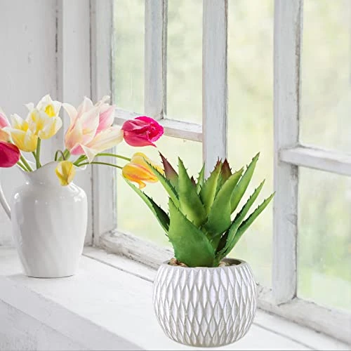 Set Of 3 Small Potted Succulents Plants Artificial Aloe Hops Succulents In Gray Concrete Ceramic Planter Geometry Pattern For Party Favor Gift Windowsill Tabletop Shelf Indoor Outdoor Greenery Decor 3 Set Of 3 Small Potted Succulents Plants Artificial Aloe Hops Succulents In Gray Concrete Ceramic Planter Geometry Pattern For Party Favor Gift Windowsill Tabletop Shelf Indoor Outdoor Greenery Decor - Image 3