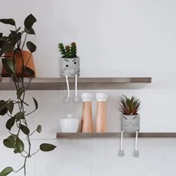 SEMSOIIO 2 Pcs Fake Plants In Cement Pot With Hanging Legs, Creative Artificial Faux Succulent For Home/Office Decor (Tongue & Smoking) -Organic Plant Shop 41hdOhG0rTL