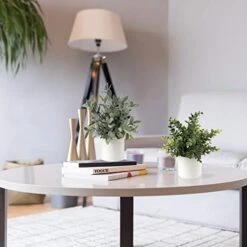 Briful Mini Fake Plants Set Of 2 Small Faux Plant Eucalyptus Rosemary Greenery Potted Plants Artificial Decor For Home Table Office Room Desk Bathroom Shelf Kitchen Farmhouse Mantel Decoration -Organic Plant Shop 41hf0tnOpnL