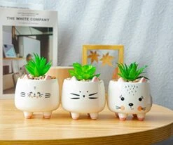 B SEPOR 3 Little Kitty Cats Small Artificial Succulents Potted With White Porcelain Pots Ceramic Animal Planter Gift Set For Home And Office Decor -Organic Plant Shop 41hgzH99blL