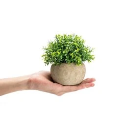 Velener 2Pcs Mini Artificial Boxwood Topiary Faux Plants Indoor- Small Fake Plants Decor Magnolia Home Office Desk Cubicle Farmhouse Kitchen Bookshelf Bedroom Bathroom Decor, Aloe Vera Zen Garden -Organic Plant Shop 41hsNiRCsVL