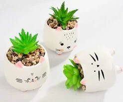 B SEPOR 3 Little Kitty Cats Small Artificial Succulents Potted With White Porcelain Pots Ceramic Animal Planter Gift Set For Home And Office Decor -Organic Plant Shop 41hvZbkC9fL