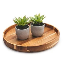 Kurrajong Farmhouse Fake Plants | Fake Succulents Set Of Two | Succulent Plants Artificial | Artificial Succulents | Fake Agave Artificial Plants -Organic Plant Shop 41iH3aWKNnS
