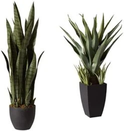 Nearly Natural, Green 4855 35in. Sansevieria With Black Planter 17 Nearly Natural, Green 4855 35in. Sansevieria With Black Planter -Organic Plant Shop 41iNxk62TdL. AC
