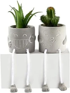 Sets Of 2 Artificial Potted Plant Small Fake Succulent Faux Plant Cute Hanging Leg Cement Potted Succulents Decor For Gift, Office Decoration, Home Décor (2 Smiley) -Organic Plant Shop 41iOSYS2vGL. AC