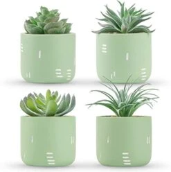 Der Rose 2 Packs Fake Plants Succulents Plants Artificial For Living Room Bedroom Aesthetic Decor -Organic Plant Shop 41iWtHZbnkL. AC