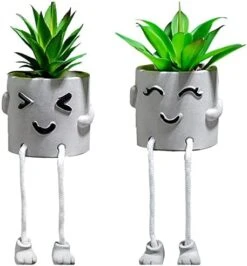 Lavenor Artificial Potted Plant Fake Succulent Plant Cute Hanging Leg Emotional Cement Potted Succulents Decor For Desk Shelf Bedroom Living Room And Office Decoration(Type A + Type C) -Organic Plant Shop 41ibWgab1oL. AC
