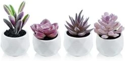 Tiita Artificial Faux Succulents In Pots Fake Plants Ceramic Arrangement Planter Small Mini Tiny Decoration For Home Office Desk Window Sill Bathroom Bedroom Outdoor Indoor 4 Set -Organic Plant Shop 41iciSz7I6L. AC