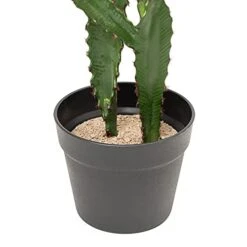 Simple Elements Faux Desert Candle Cactus With Plastic Pot | Artificial Cactus Plant | Home Décor, Event Décor, Outdoor Décor, Party Décor And Wedding Décor | 23" H X 5.5" W (Pot) -Organic Plant Shop 41it7F7QttL