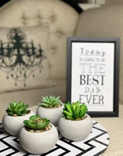 Artificial Succulent Plants In Cement Pots, Set Of 4 - Realistic Faux Potted Plant For Home, Apartment, Or Office - Decorative Fake Succulents - For Desk, Bookshelf, Or Kitchen -Organic Plant Shop 41jGY7zfQML
