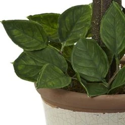 Nearly Natural Lemon Ball Arrangement Topiary, Yellow,19.5'' X 8.5'' X 8.75'' - 4865 -Organic Plant Shop 41jTv9EOTxL