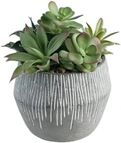 FAVRD Artificial Succulents In Cement Pot Environmentally Conscious Partly Recycled Fake Plants Artificial Plants Indoor Home Office Decor Desk Faux Plants, 8.5 X 8.5 X 8.75 Inches, Green, (10181-A) -Organic Plant Shop 41jzBIJZZ9S. AC