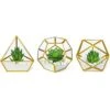 Mkono Artificial Succulent In 3 Pack Mini Glass Geometric Terrarium, Miniature Potted Faux Plant Bookshelf Desk Boho Office Room Decor For Women Girls Dorm Gift Idea, Gold