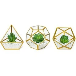 Mkono Artificial Succulent In 3 Pack Mini Glass Geometric Terrarium, Miniature Potted Faux Plant Bookshelf Desk Boho Office Room Decor For Women Girls Dorm Gift Idea, Gold