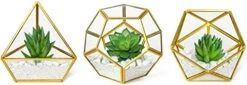Mkono Artificial Succulent In 3 Pack Mini Glass Geometric Terrarium, Miniature Potted Faux Plant Bookshelf Desk Boho Office Room Decor For Women Girls Dorm Gift Idea, Black -Organic Plant Shop 41kBN5ecliL. AC 1