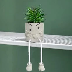 Lavenor Artificial Potted Plant Fake Succulent Plant Cute Hanging Leg Emotional Cement Potted Succulents Decor For Desk Shelf Bedroom Living Room And Office Decoration(Type A + Type C) -Organic Plant Shop 41lt1w9BCPL. AC