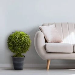 Nearly Natural 4560 23" Boxwood Ball Topiary -Organic Plant Shop 41m8LLkHPWL