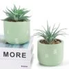 Der Rose 2 Packs Fake Plants Succulents Plants Artificial For Living Room Bedroom Aesthetic Decor