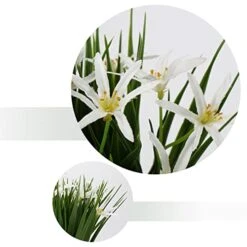 Briful Small Artificial Grass Plant Decor Wheat Fake Plant With Flowers In Ceramic Pot Real Touch Potted Greenery Faux Plant For Kitchen Countertop Tabletop Bookshelf Coffee Decorations -Organic Plant Shop 41mQ9s6q1bL