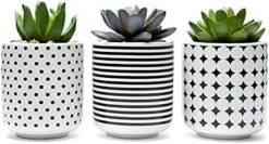Dipiti Artificial Succulent Plants In Pots-Set Of 3|Black And White Ceramic Planters|Faux Plants Indoor & Outdoor|Gifts For Women|Kitchen Office Bathroom Desk Bedroom Shelf Decor|Potted Fake Plants -Organic Plant Shop 41mcbwUG3pS. AC