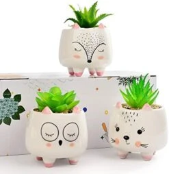 B SEPOR 3 Little Kitty Cats Small Artificial Succulents Potted With White Porcelain Pots Ceramic Animal Planter Gift Set For Home And Office Decor -Organic Plant Shop 41n7xqewAUL. AC