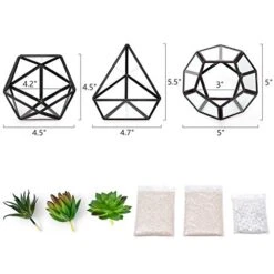 Mkono Artificial Succulent In 3 Pack Mini Glass Geometric Terrarium, Miniature Potted Faux Plant Bookshelf Desk Boho Office Room Decor For Women Girls Dorm Gift Idea, Black -Organic Plant Shop 41nWBpgLtTL