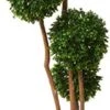 Nearly Natural 5486 Boxwood Topiary Artificial Tree UV Resistant, Green
