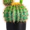 Sunprairie 14” & 30” Tall Rustic Artificial Cactus In Bloom With Soft Spines —Plant Decor Including Attractively Matching Matte Black Pot—Gorgeous Artificial Succulent Plants.