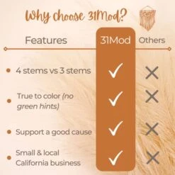 31Mod Faux Pampas Grass With 4 Large Artificial Pampas Grass Stems — 43" (Set Of 4), No-Shedding And Low Maintenance Pampas Grass Decor, Fake Pampas Grass, Pampas Grass Large, Boho Decor (43") -Organic Plant Shop 41oCPCDhkNL