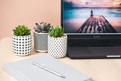 Dipiti Artificial Succulent Plants In Pots-Set Of 3|Black And White Ceramic Planters|Faux Plants Indoor & Outdoor|Gifts For Women|Kitchen Office Bathroom Desk Bedroom Shelf Decor|Potted Fake Plants -Organic Plant Shop 41oat2jXkwS