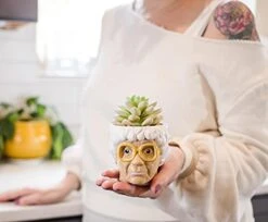 Silver Buffalo The Golden Girls Sophia Face Mini Ceramic Planter Decor | Official TV Show Collectible | Small Flower Pot For Indoor Plants, Includes Artificial Succulent | 3 Inches -Organic Plant Shop 41qT8YqCN6S