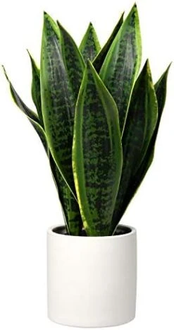 Briful 14'' Fake Snake Plant Home Decor Real Touch Faux Sansevieria Plant In White Ceramic Pot With Wooden Stand Artificial Snake Plant With Wide Leaves For Kitchen Living Room Bathroom Decorations -Organic Plant Shop 41qgckxHYYL. AC
