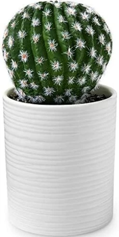 SEEKO Fake Cactus For Home Décor 11" - Artificial Faux Cactus For Southwest, Office, Desk, Shelf - Indoor Fake Plants - White Décor Accents - Modern Farmhouse Decor  -Organic Plant Shop 41qyhhkErEL. AC