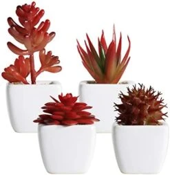 Tiita Artificial Faux Succulents In Pots Fake Plants Ceramic Arrangement Planter Small Mini Tiny Decoration For Home Office Desk Window Sill Bathroom Bedroom Outdoor Indoor 4 Set -Organic Plant Shop 41rYyT6nkdL. AC