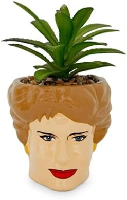 Silver Buffalo The Golden Girls Sophia Face Mini Ceramic Planter Decor | Official TV Show Collectible | Small Flower Pot For Indoor Plants, Includes Artificial Succulent | 3 Inches -Organic Plant Shop 41rkBULOAzL. AC