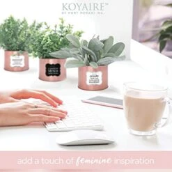 KOYAIRE Motivational Desk Plant Set Of 3 - Rose Gold Desk Accessories For Women Office - Rose Gold Decor And Home Office Accessories - Small Fake Plants - Desk Decorations For Women Office Decor -Organic Plant Shop 41rrJUltVML