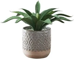 FAVRD Artificial Succulents In Cement Pot Environmentally Conscious Partly Recycled Fake Plants Artificial Plants Indoor Home Office Decor Desk Faux Plants, 8.5 X 8.5 X 8.75 Inches, Green, (10181-A) -Organic Plant Shop 41rz2ujslhS. AC