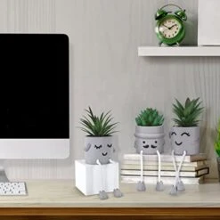 WOODWORD 3 Pack Mini Potted Fake Succulents Desk Plant With Creative Emotional Cement Pots For Shelf Home Bathroom Living Room Kitchen Decor And Office Decorations -Organic Plant Shop 41s4NXdzlEL