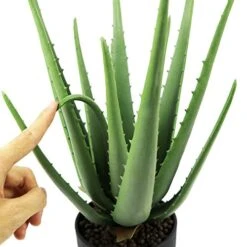 Beebel Artificial Succulent Fake Aloe For Bathroom Home Office Decor,Faux Succulent Plant With Black Plastic Planter,Artificial Potted Plant For House Decor (Aloe Succulent/13 Leaf) -Organic Plant Shop 41tWwqFOZvL