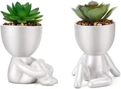 WOODWORD Fake Succulent, Mini Succulents Plants Artificial In Black Modern Human Shaped Ceramic Pots Cute Desk Decor For Office Decor For Women, Bathroom 2PCS -Organic Plant Shop 41tgcLwcJ5L. AC