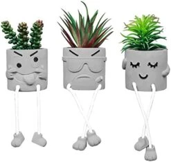 Zerzsy 3pcs Creative Artificial Succulents With Gray Flower Pots, Mini Potted Succulents For Home Decor And Gift Choice. -Organic Plant Shop 41tkVIWVf6L. AC